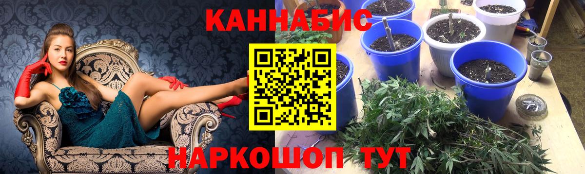 Черемхово  Шишки марихуана планчик  Шишки марихуана THC 21%  Вход с VPN  Каннабис конопля  Канабис AK-47 